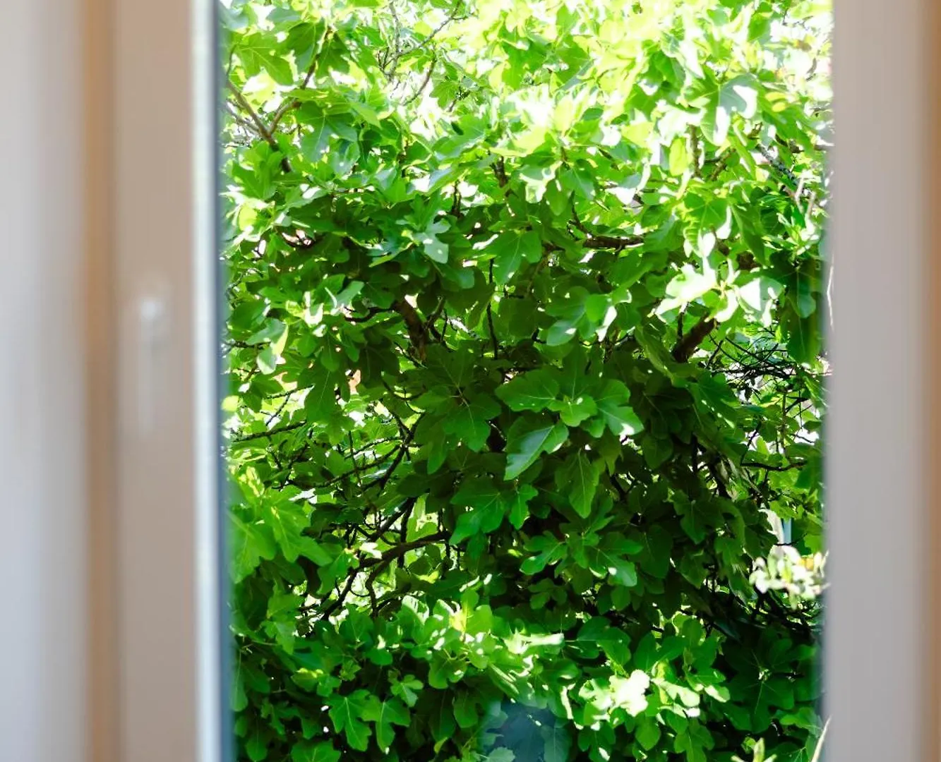 **** Guest house Porto Nativo Split Hotel Croatia